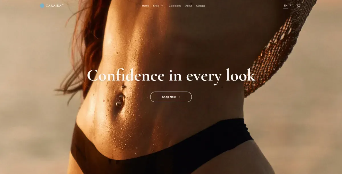 Screenshot of the Caraíba website